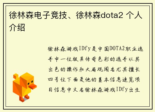 徐林森电子竞技、徐林森dota2 个人介绍